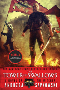 The Tower of Swallows (Witcher #4)
