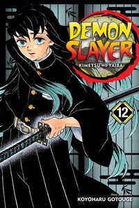 DEMON SLAYER: KIMETSU NO YAIBA, VOL. 12